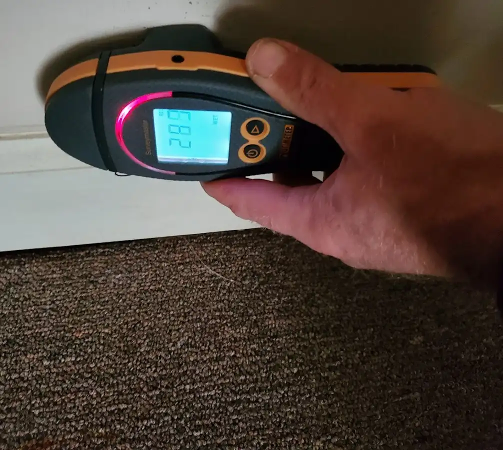 Moisture detection at baseboard during Burst Pipe Cleanup in Escanaba