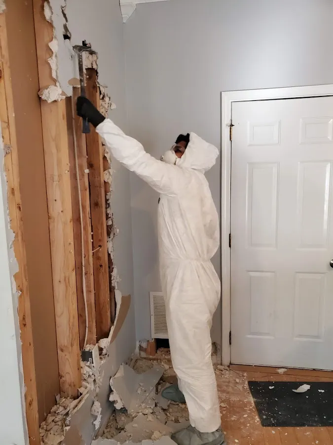 Water Damage Restoration services in Escanaba, MI